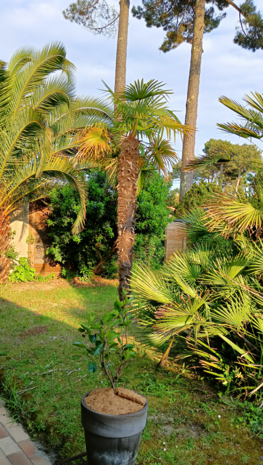 GreenGo Location Nouvelle-Aquitaine Évasion