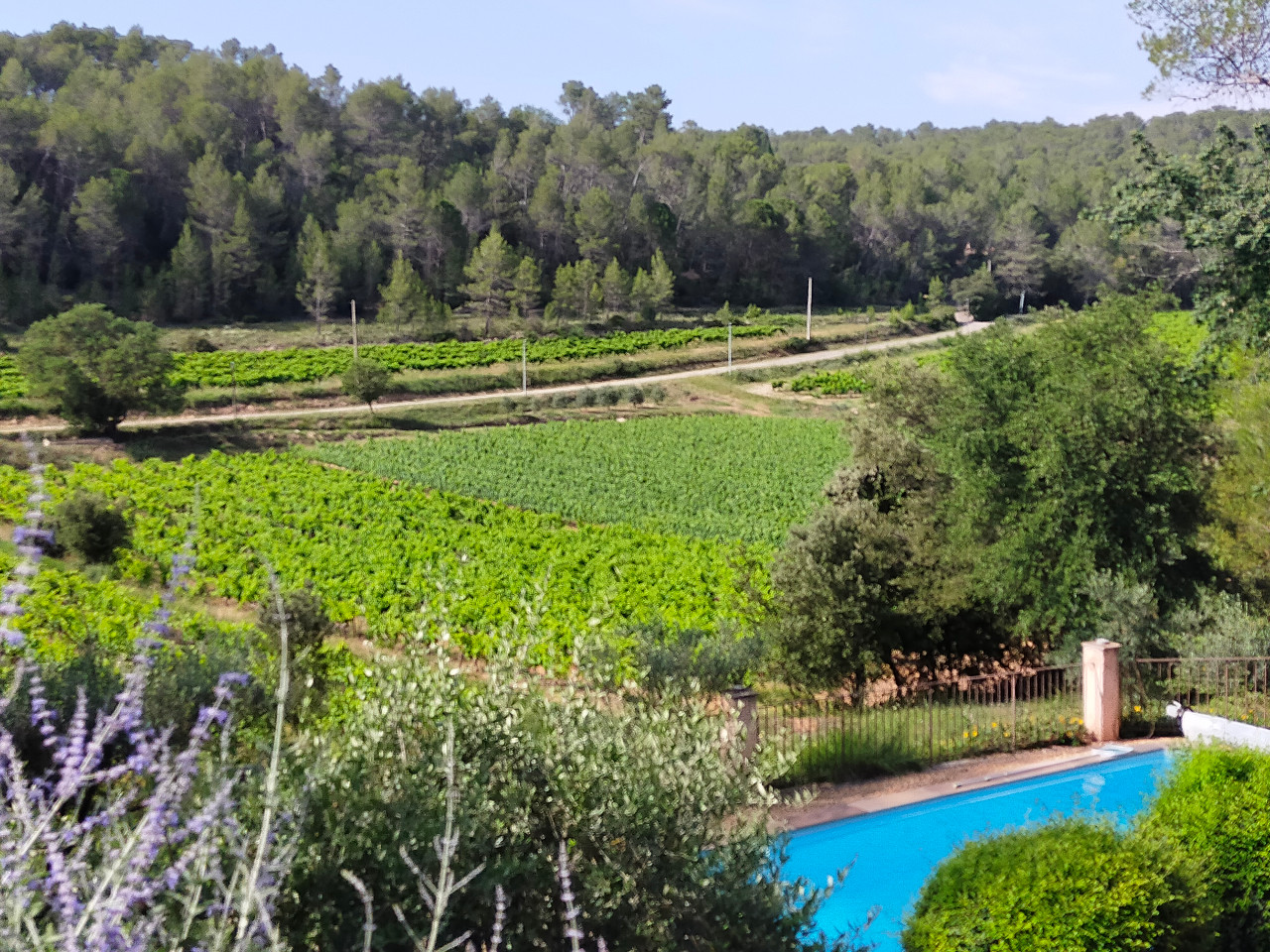 GreenGo location vacances écoresponsables