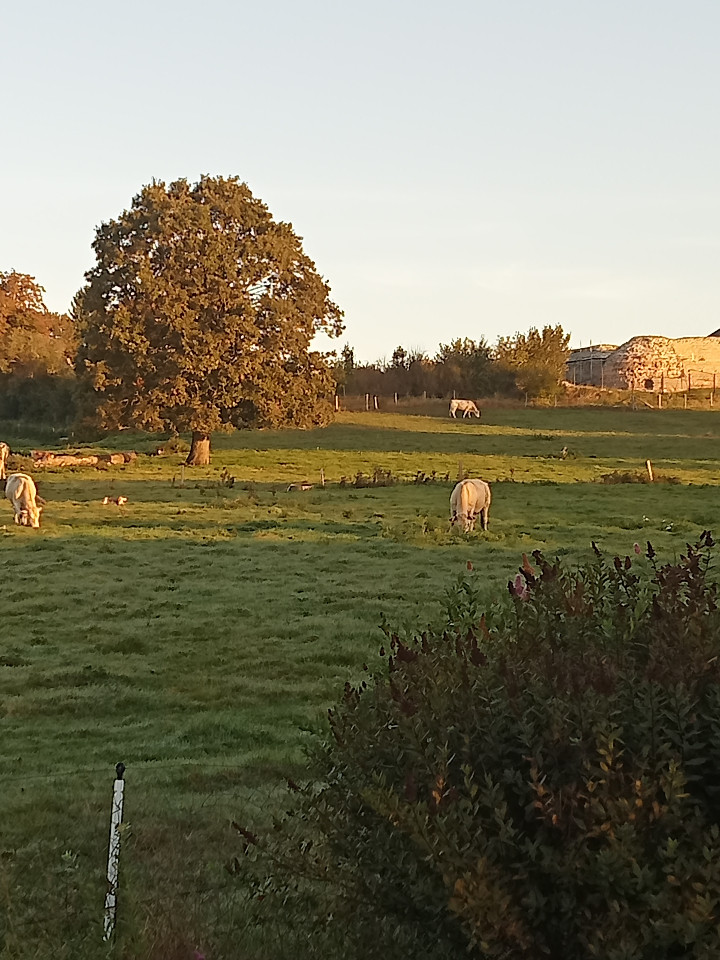 GreenGo Gîte Pays de la Loire À la campagne