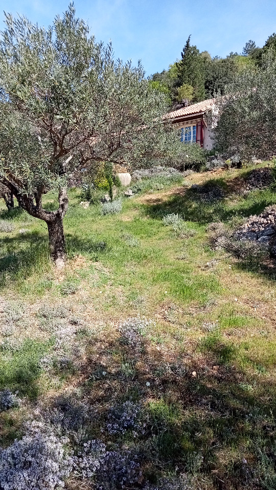 GreenGo Chambre chez l'habitant