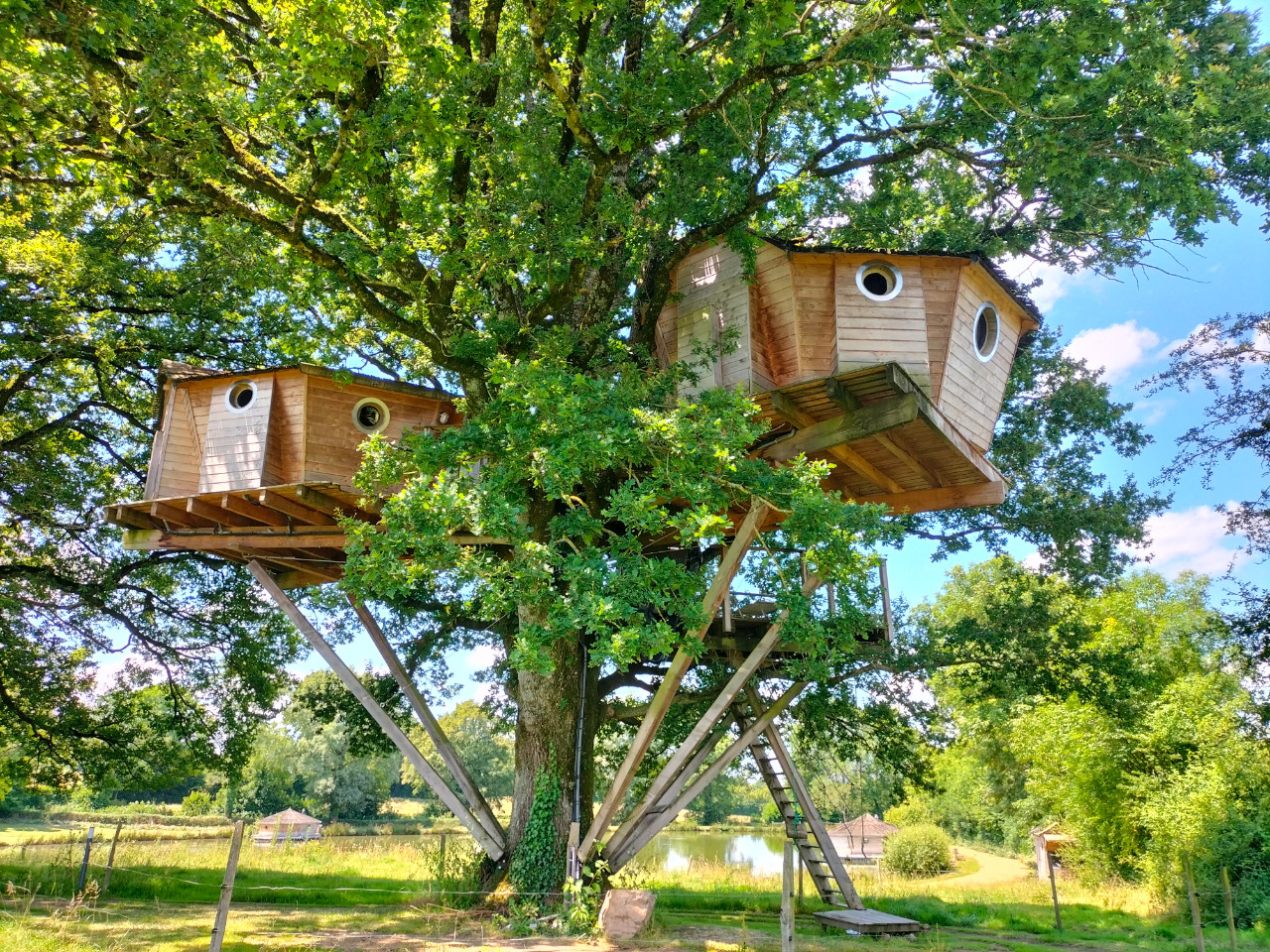 orderedImageAlt_accommodation_default