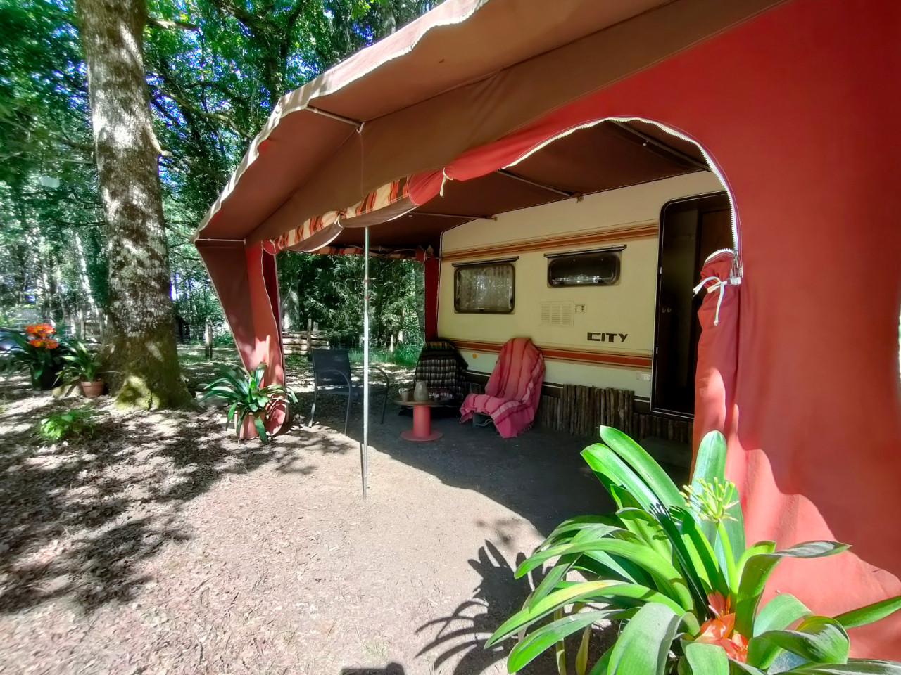 orderedImageAlt_accommodation_default