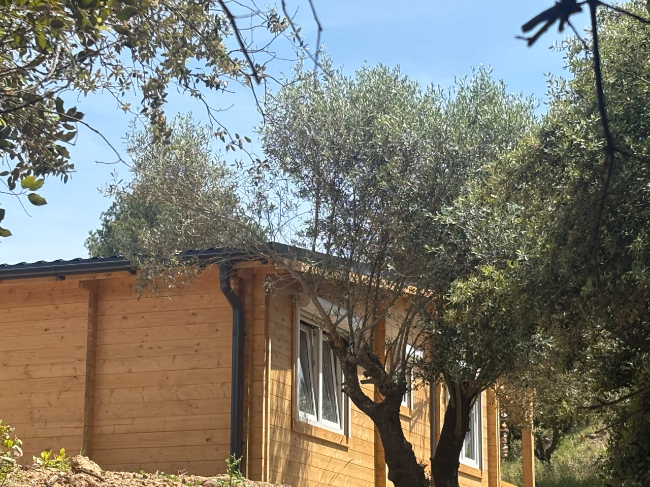 GreenGo location vacances écoresponsables
