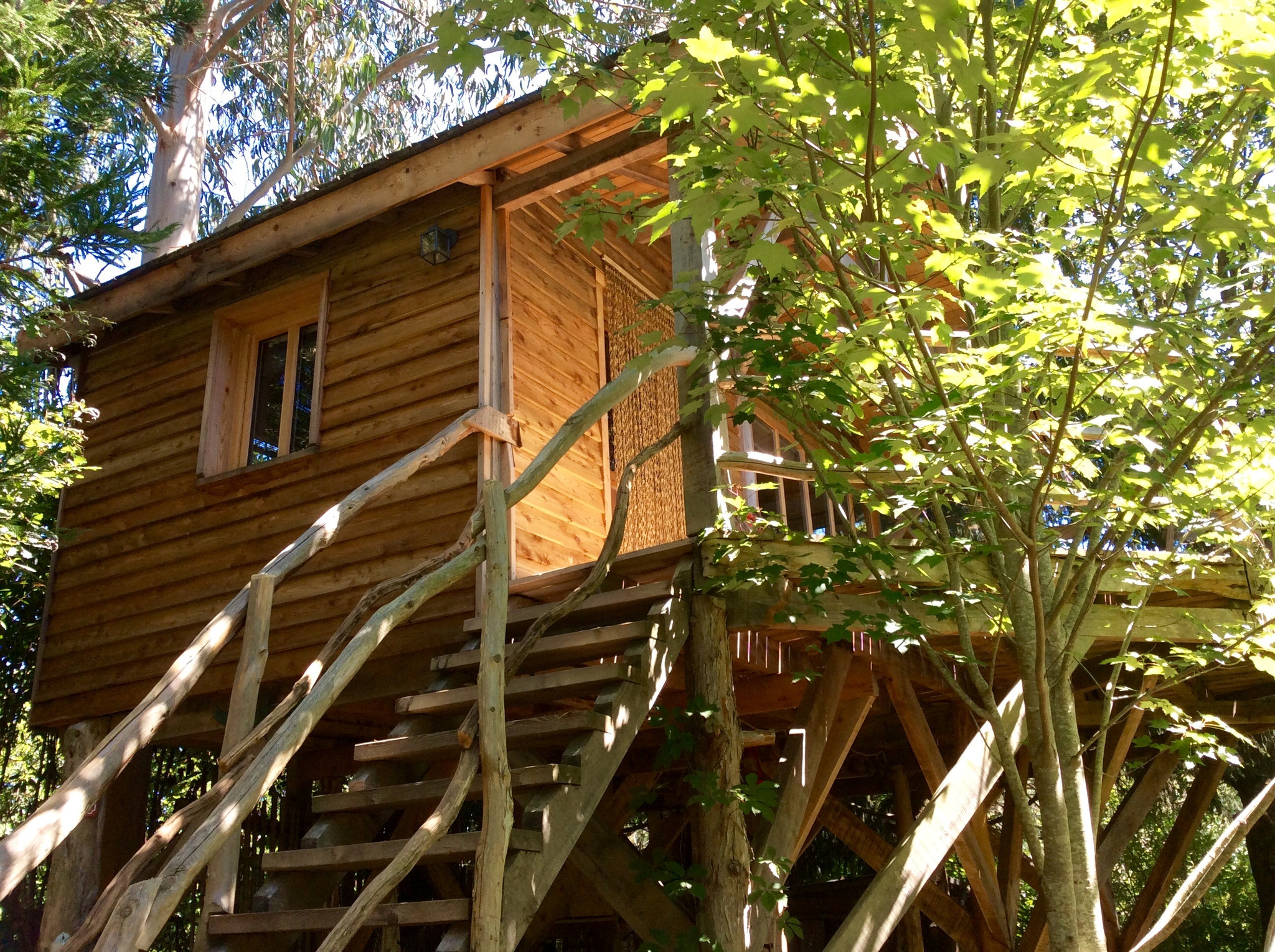 GreenGo Cabane perchée (10 mn Biarritz )avec bain nordique en option « au cœur du bois »