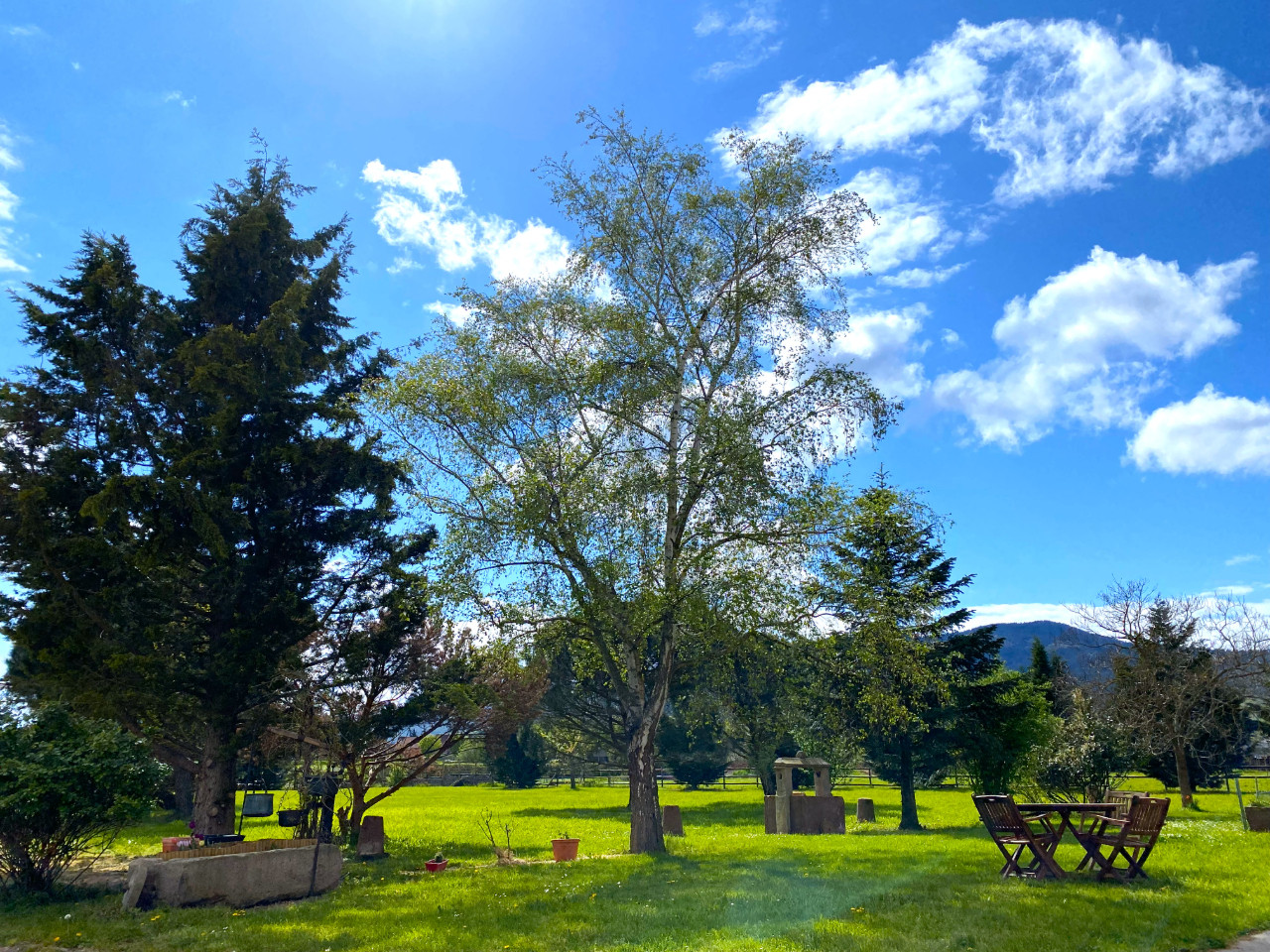 GreenGo L'Etoile du Vignoble, au coeur d'un Ranch Alsacien