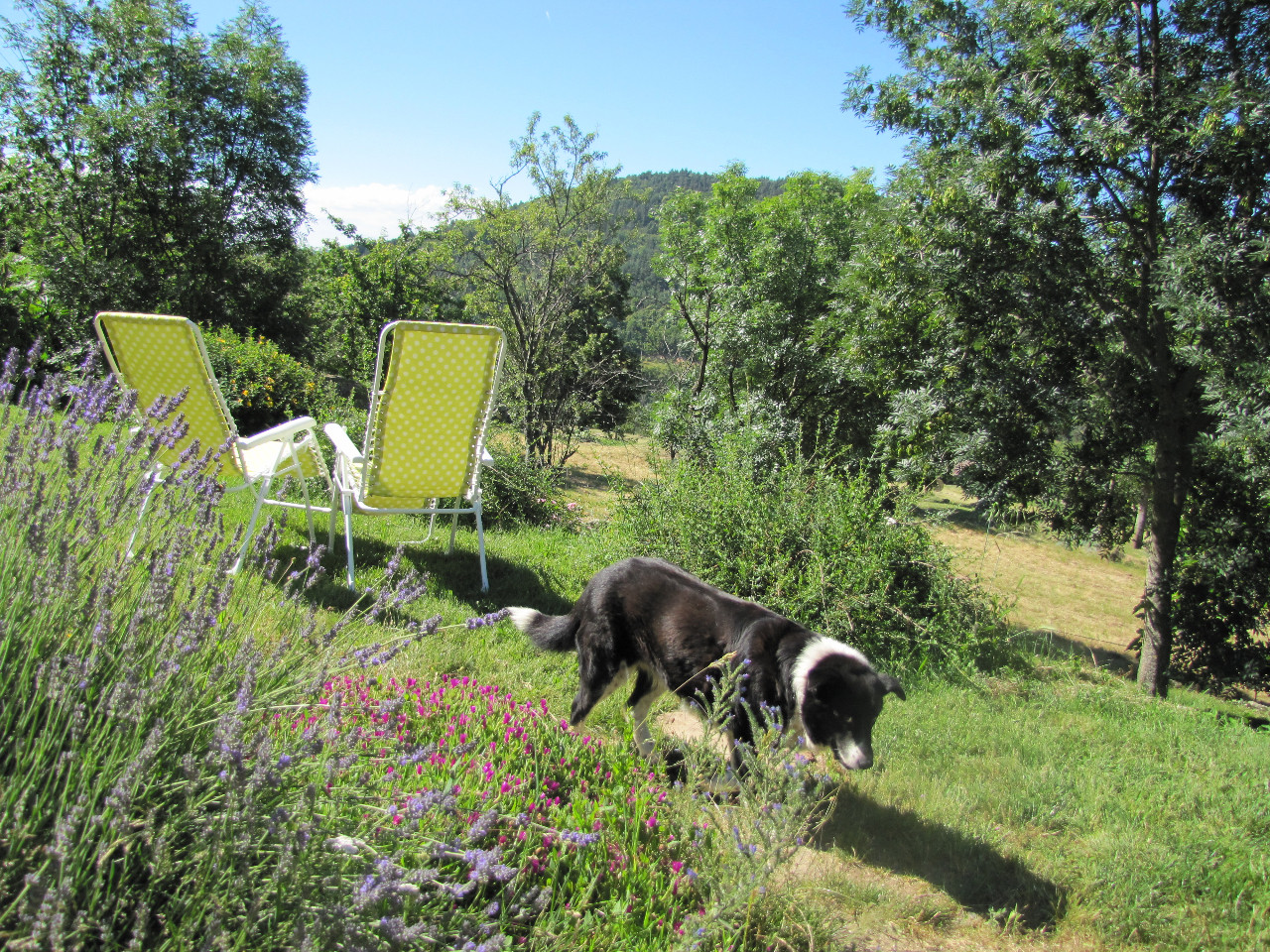 GreenGo Gîte Auvergne-Rhône-Alpes À la campagne