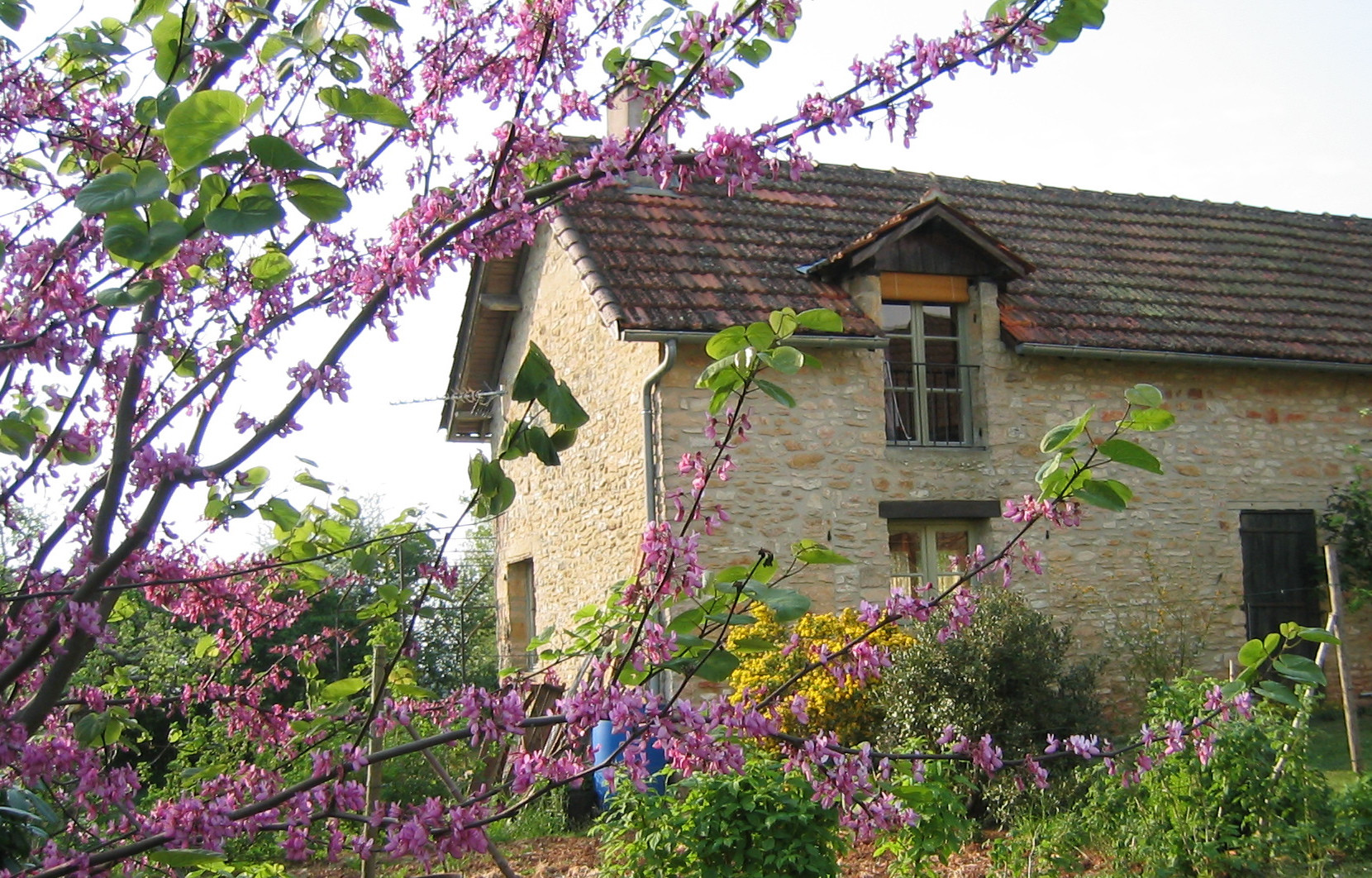 GreenGo location vacances écoresponsables