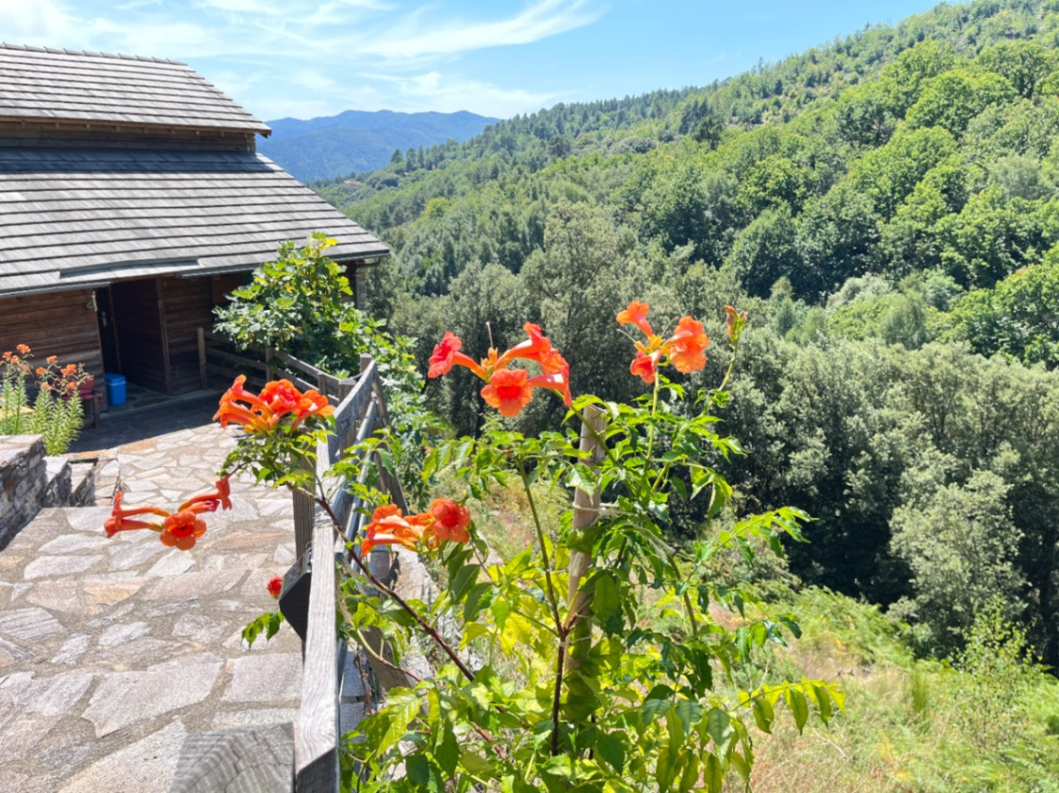 GreenGo location vacances écoresponsables