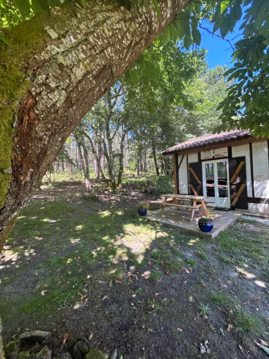 GreenGo location vacances écoresponsables