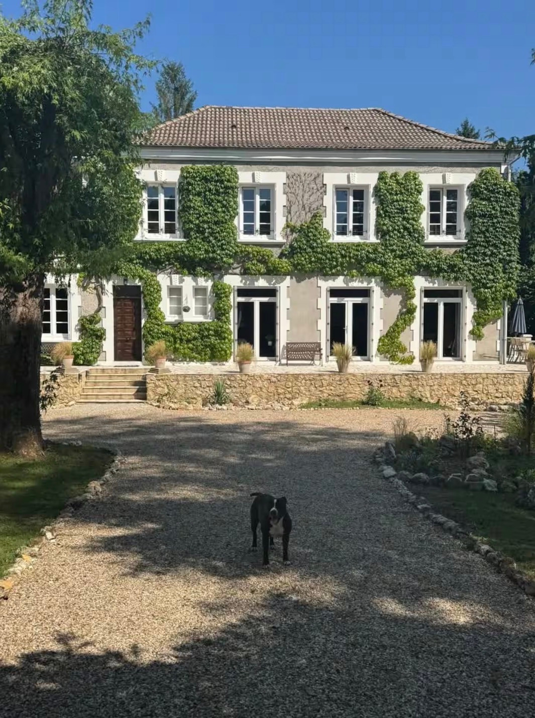 Comme en forêt