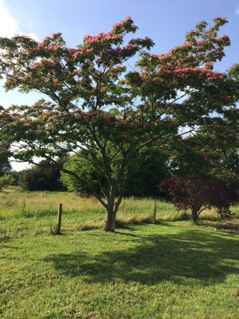  Landes À la campagne