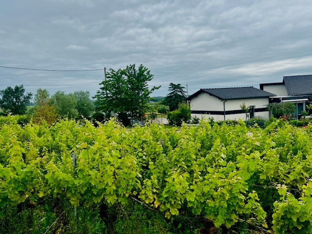 GreenGo Villa somptueuse avec piscine au milieu des vignes