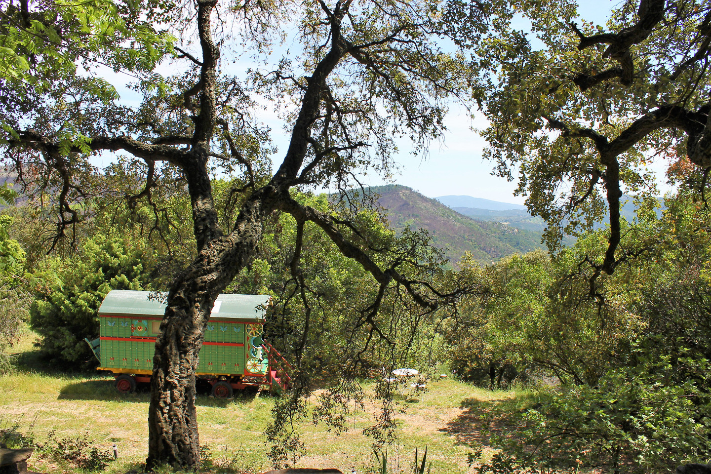 GreenGo Ferme biologique des collines de Sainte Blandine