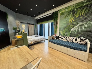 Studio Jungle avec video projecteur
