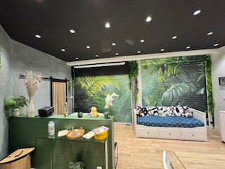 GreenGo Studio Jungle avec video projecteur