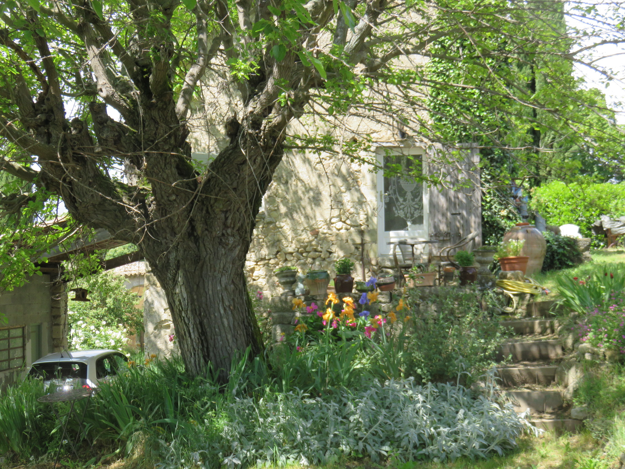  Alpes-de-Haute-Provence Bien-être
