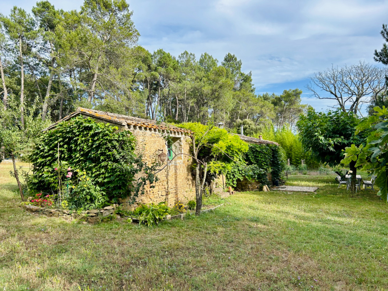 Hôte GreenGo: La petite maison