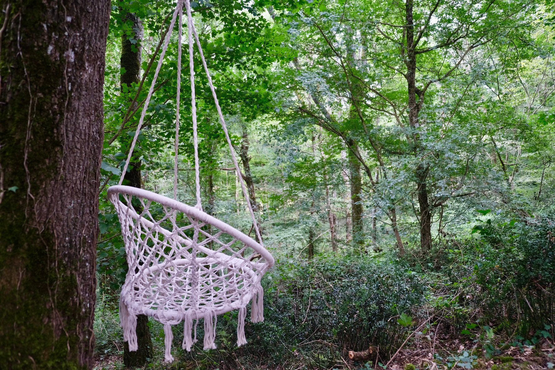GreenGo Logement insolite Occitanie Évasion