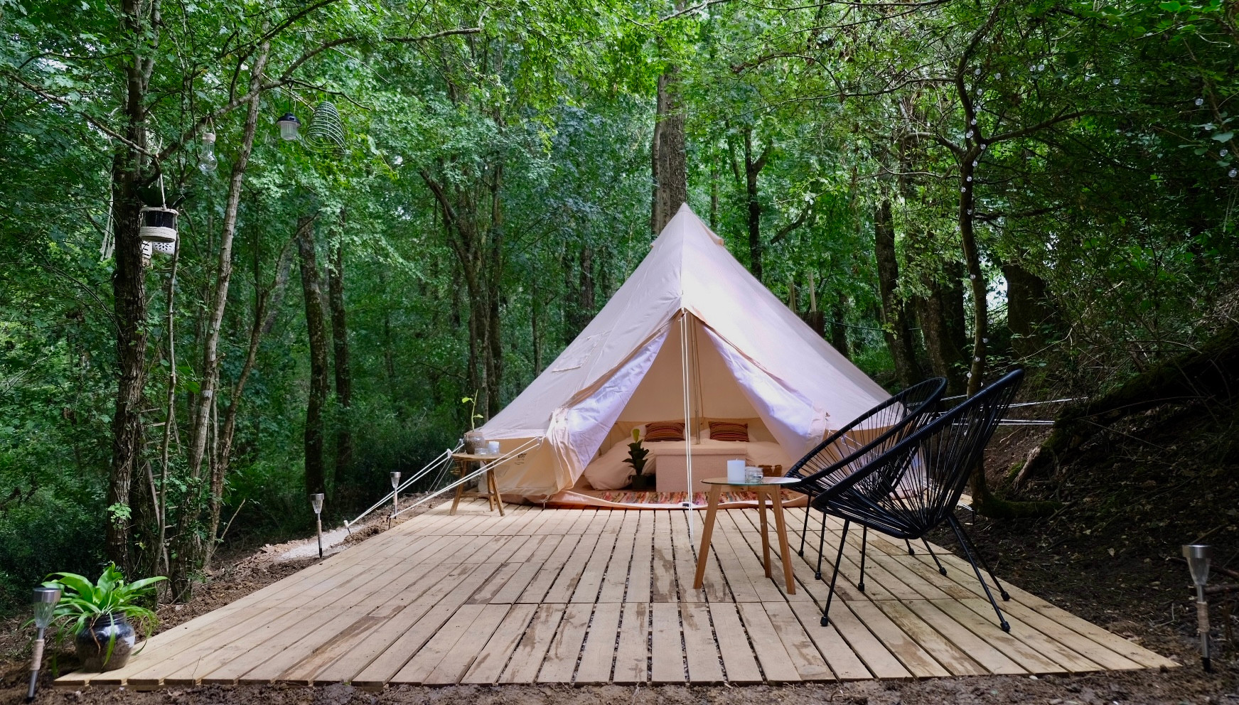 Wild Lodge
