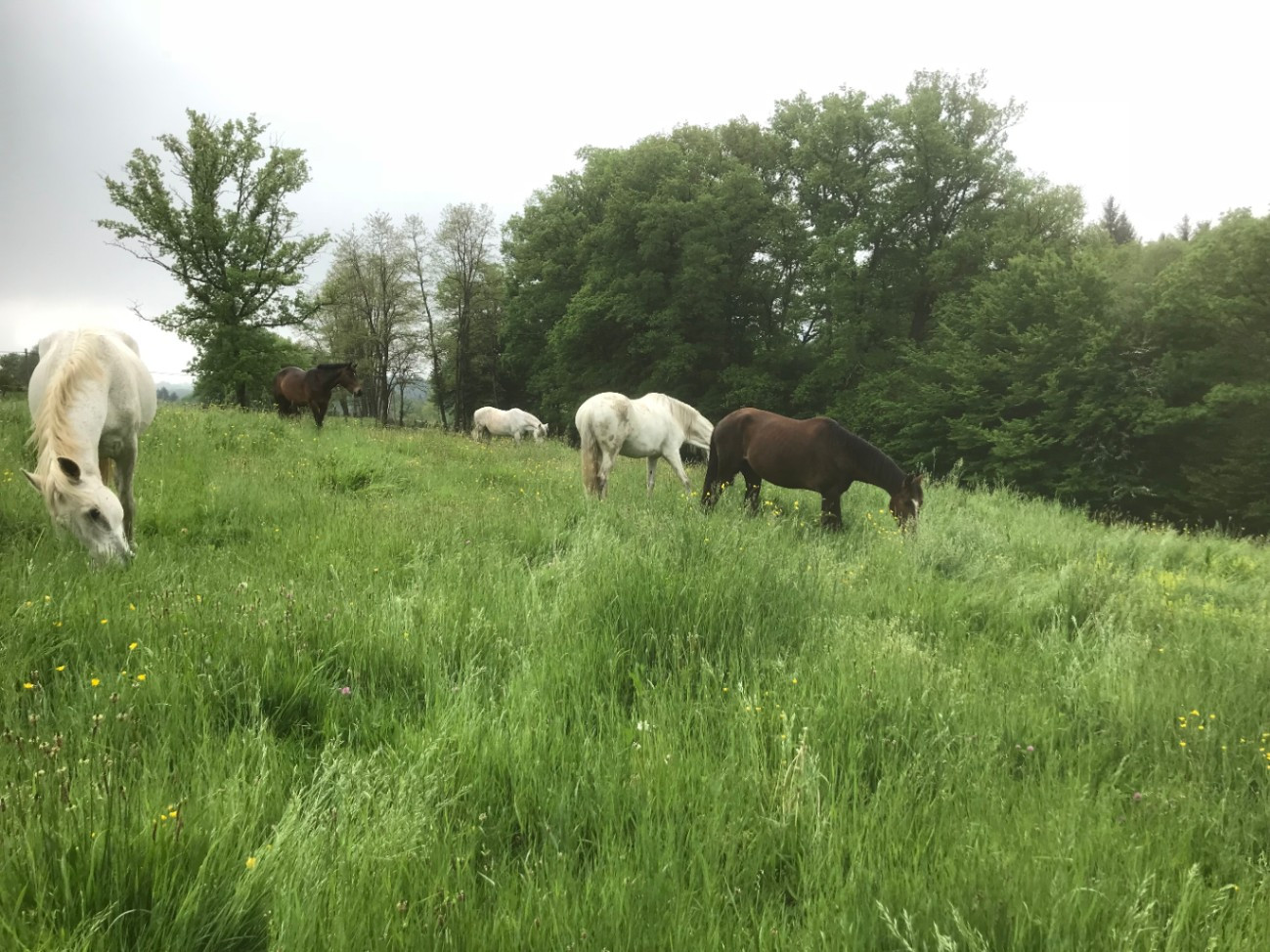 Location Corrèze Entre amis
