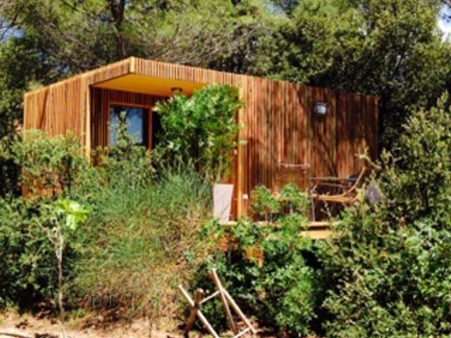 La cabane dans la pinède