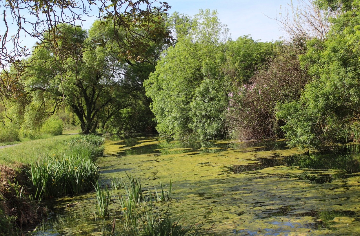 GreenGo location vacances écoresponsables