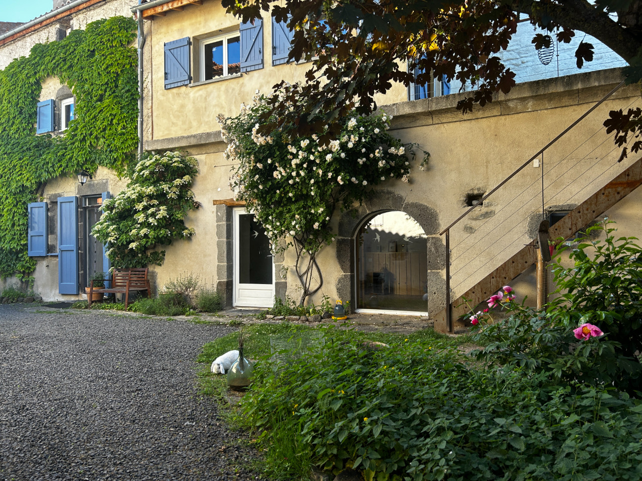 GreenGo Parenthèse sauvage et végétale chez Herbulathêkê