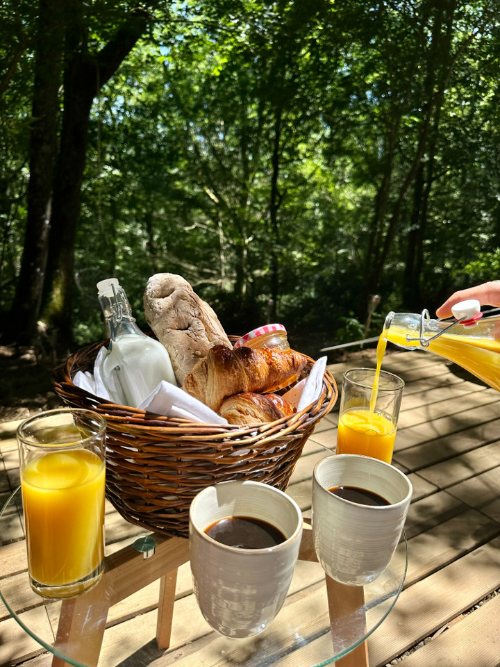 GreenGo location vacances écoresponsables