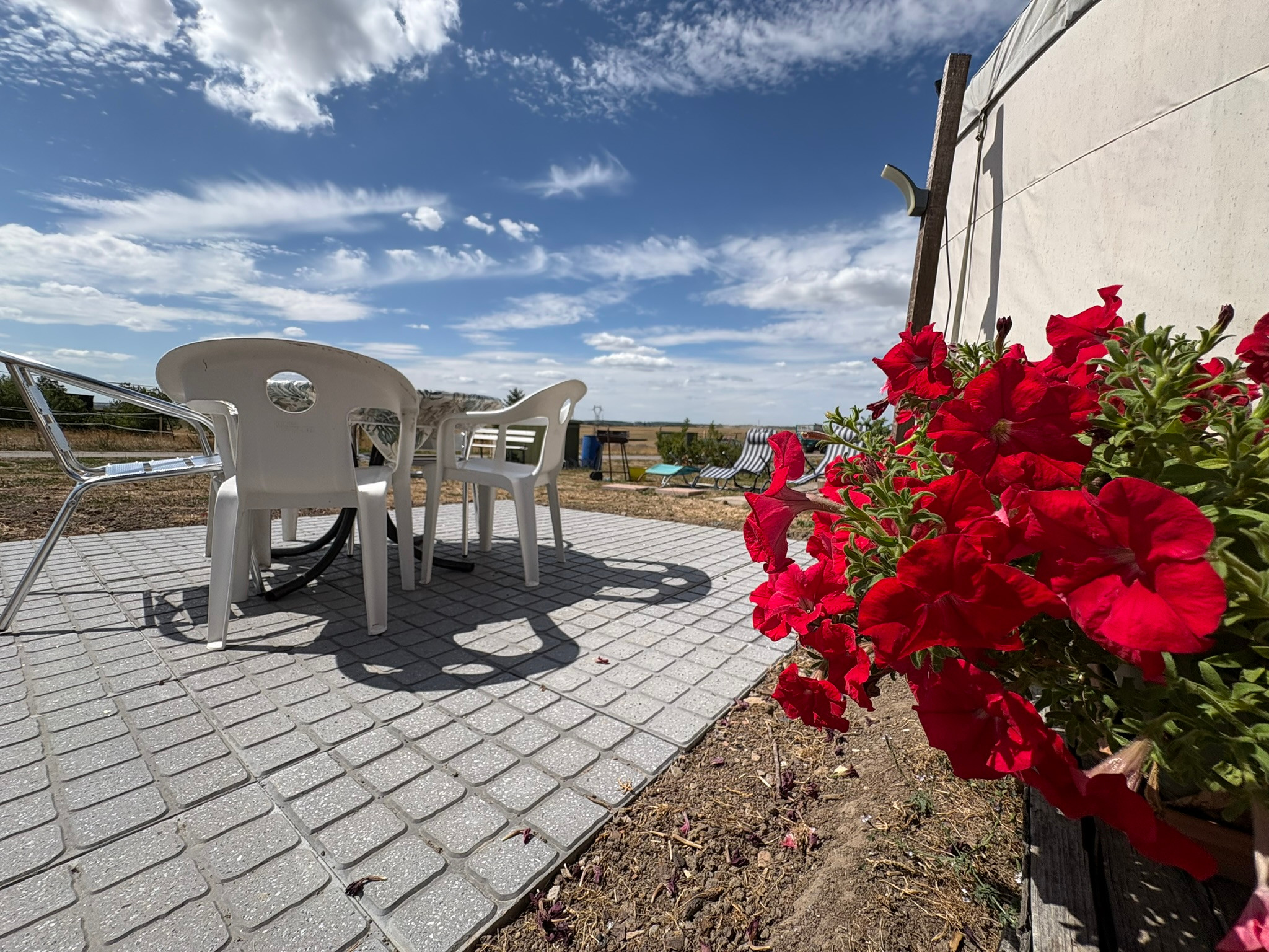 Logement GreenGo: La yourte contemporaine