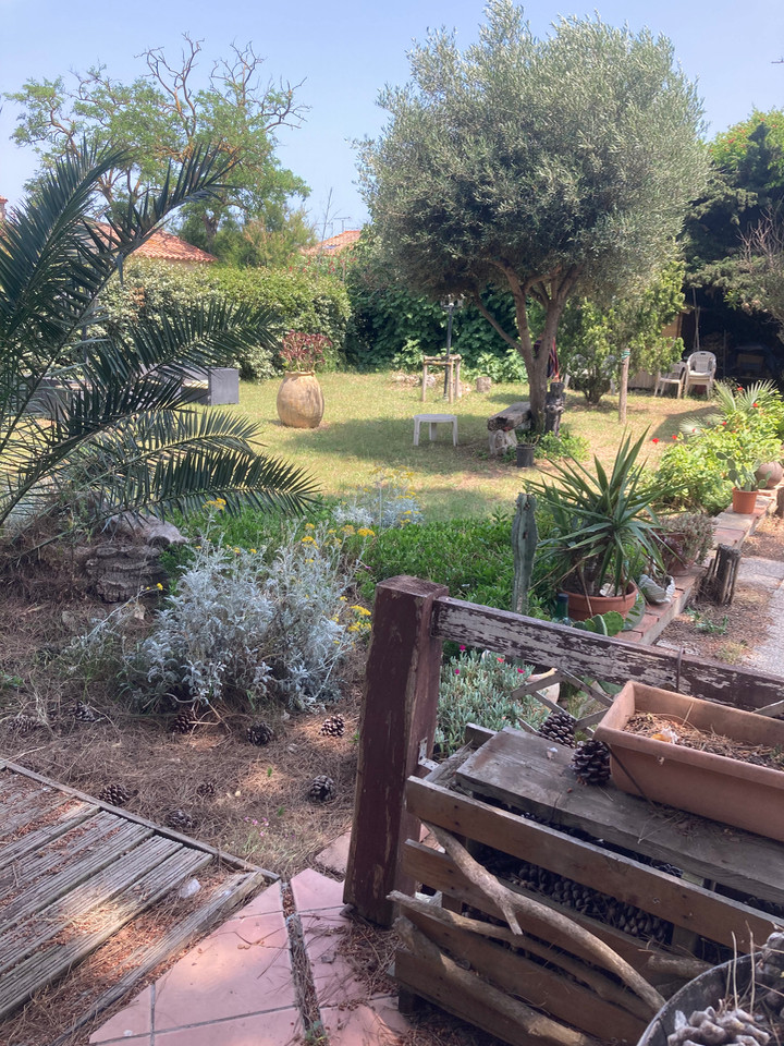 Les pins petit paradis