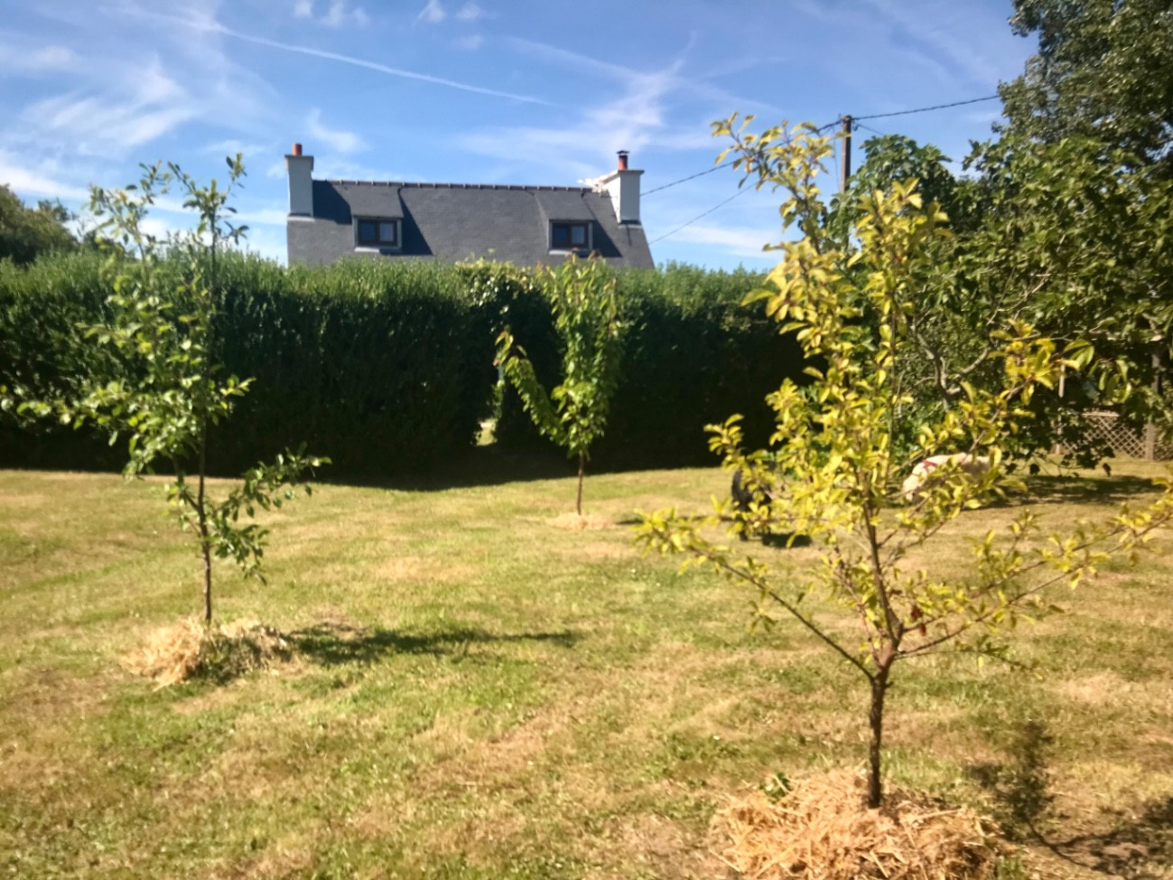 GreenGo Gîte Bretagne À la campagne