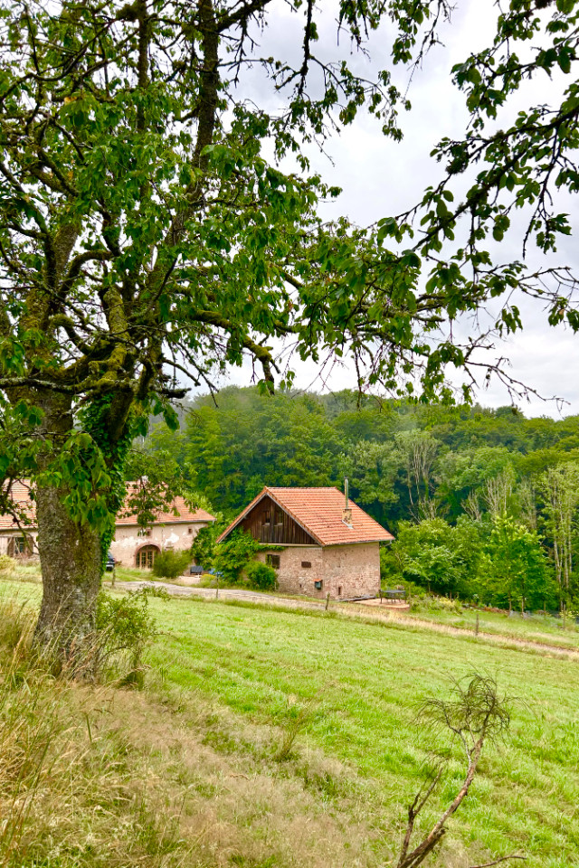 GreenGo Gîte Grand Est Évasion