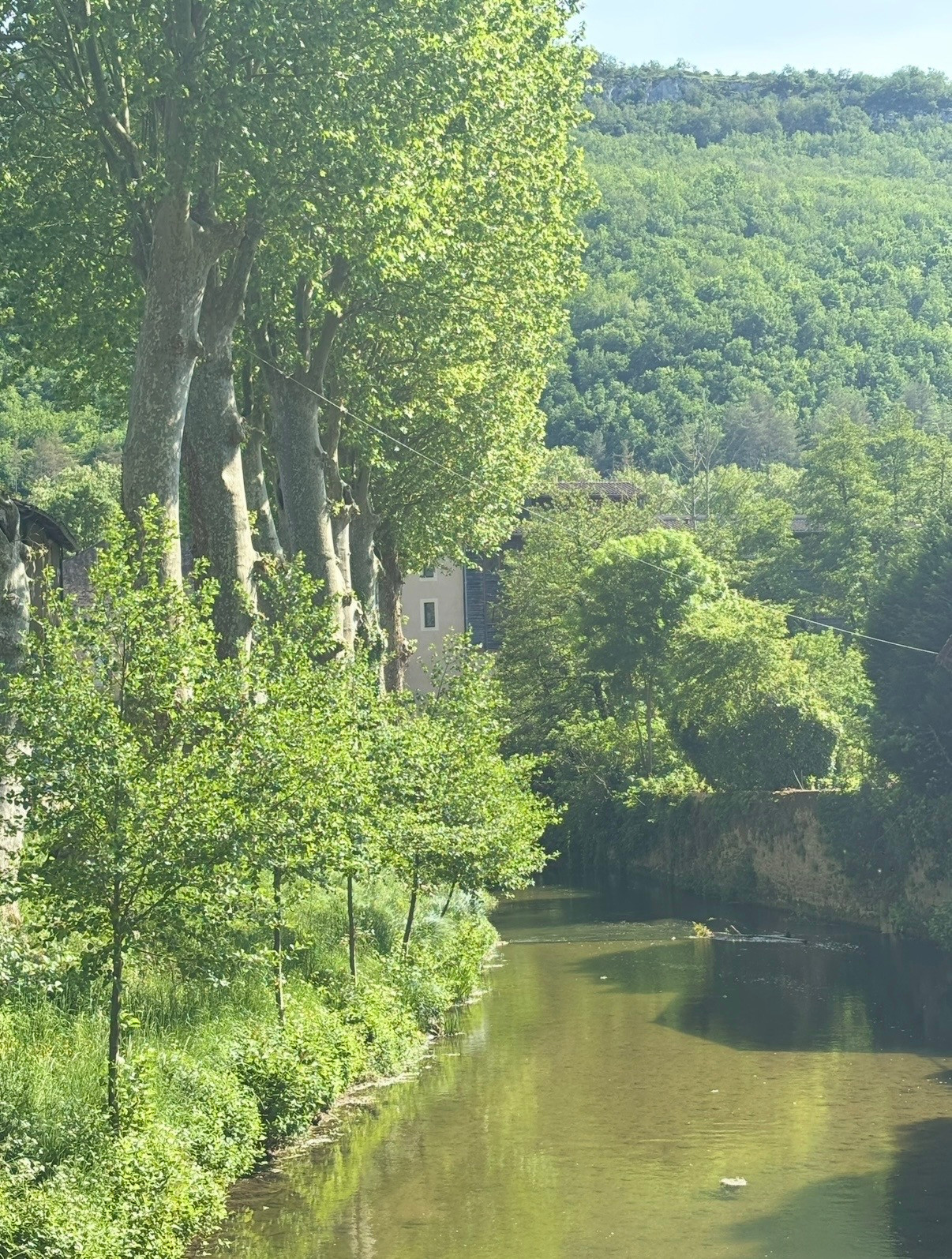 GreenGo Location Occitanie En ville