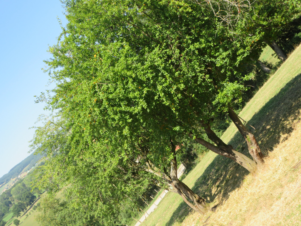  Rhône Musique