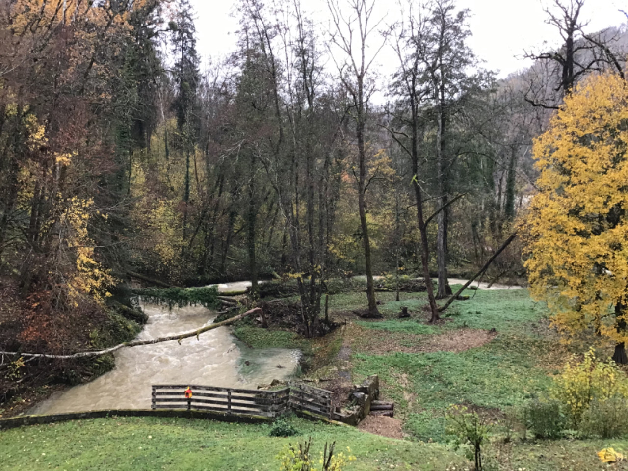 Doubs En forêt