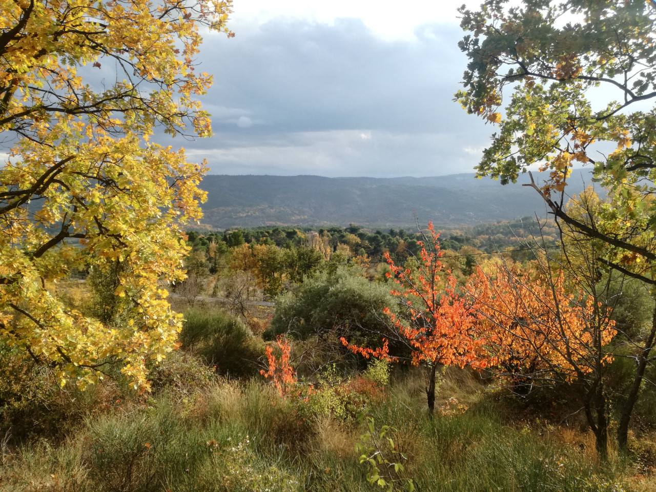 GreenGo Location Provence-Alpes-Côte d'Azur Évasion