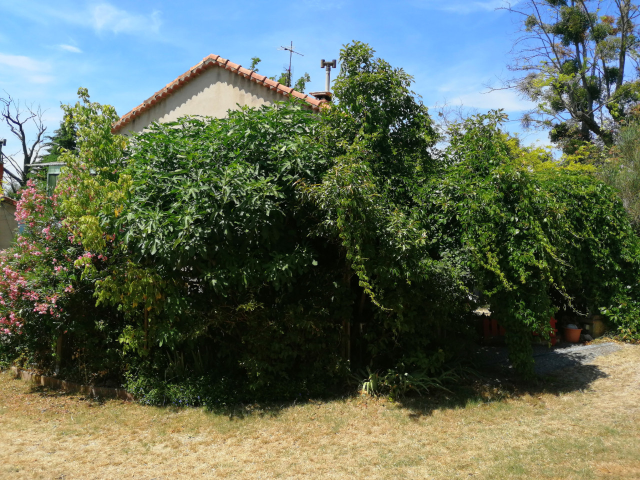 Haut Colombier les Deux anges bleus