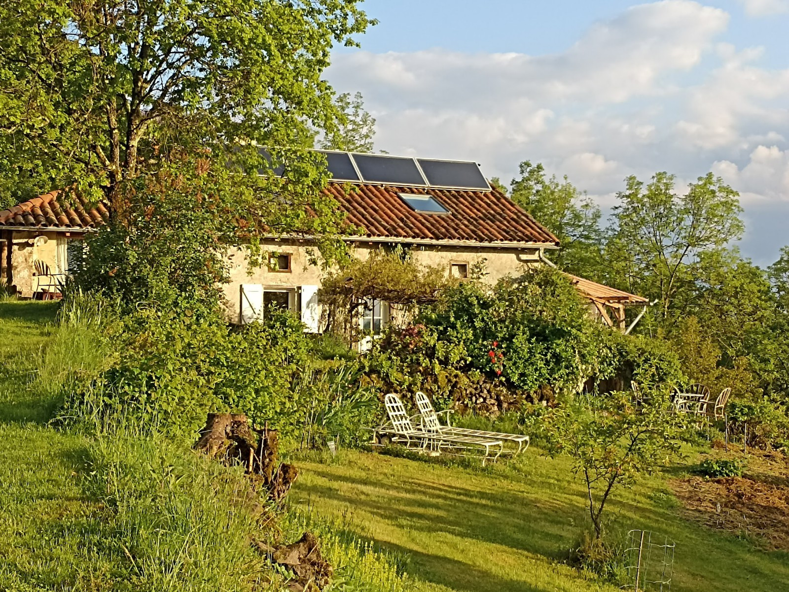 GreenGo Studio en pleine nature, idéal pour un retour aux sources...