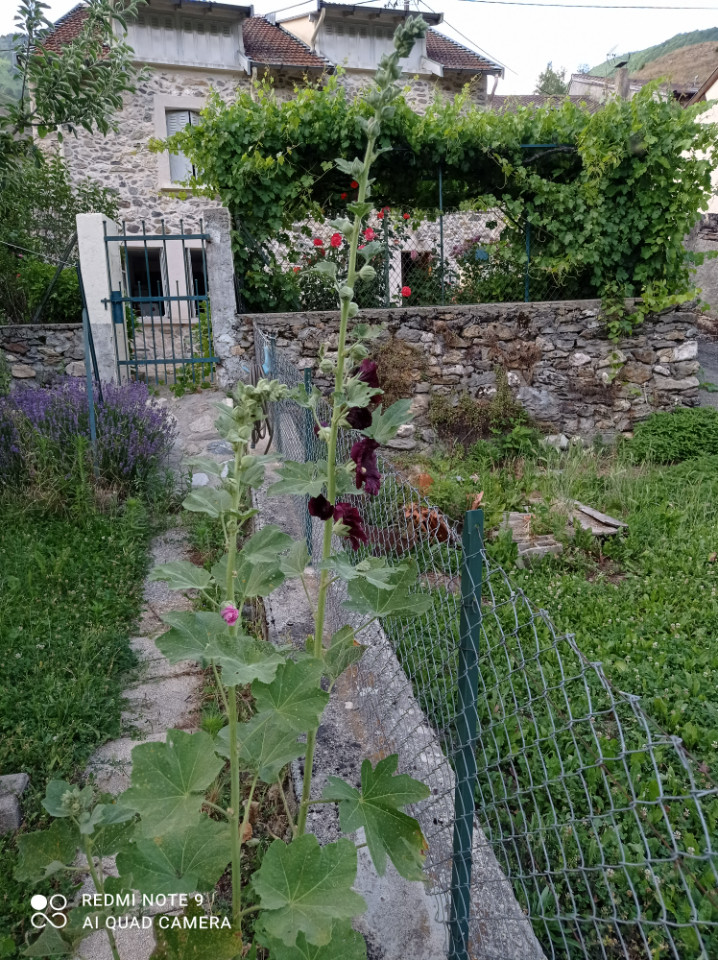 Ariège Romantique