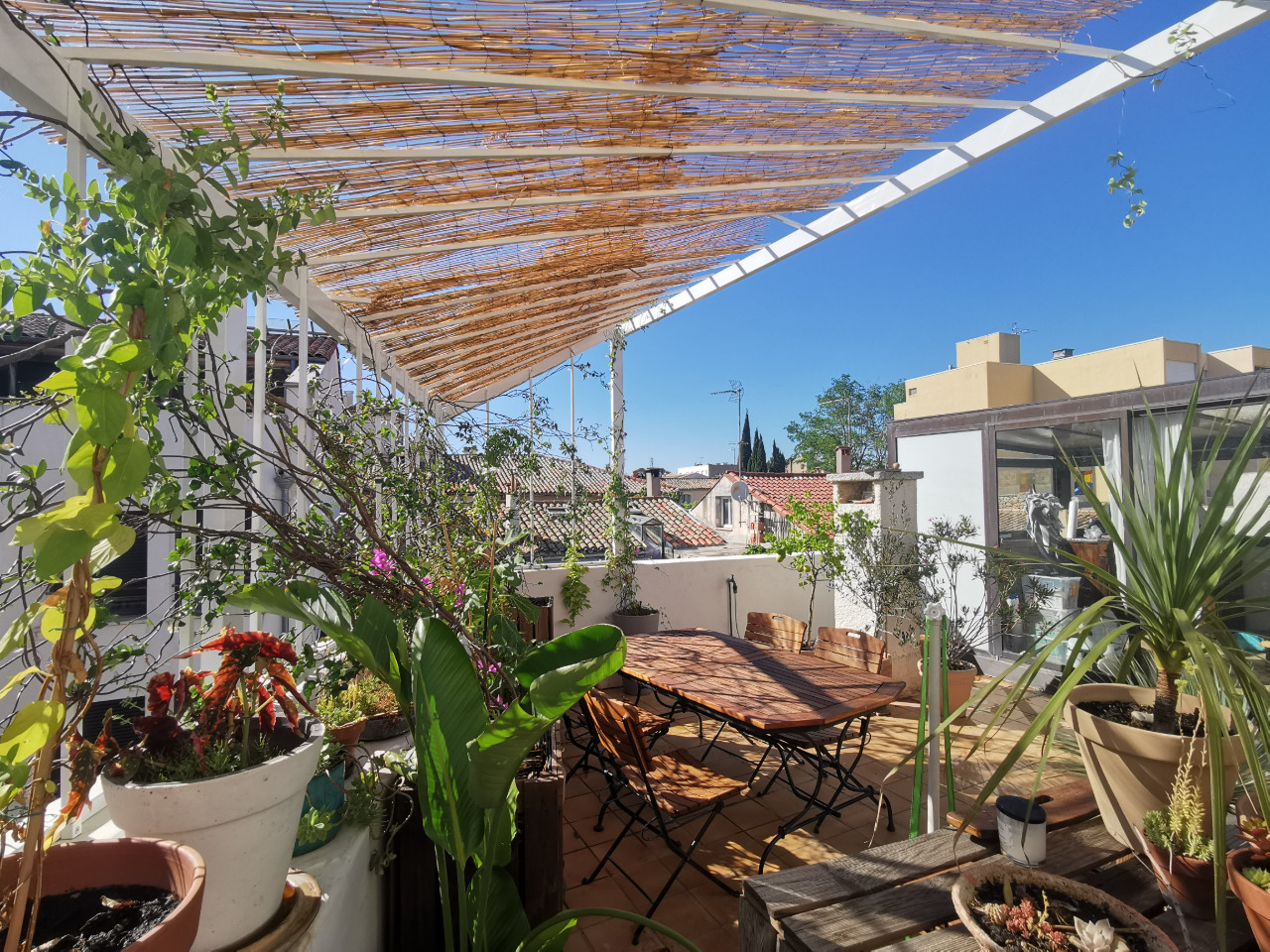 Hôte GreenGo: Maison d'artiste avec toit-terrasse et véranda en plein centre ville de montpellier.