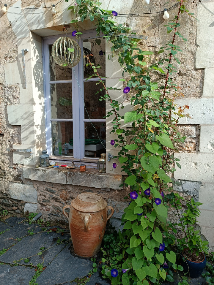 GreenGo Gîte Pays de la Loire À la campagne