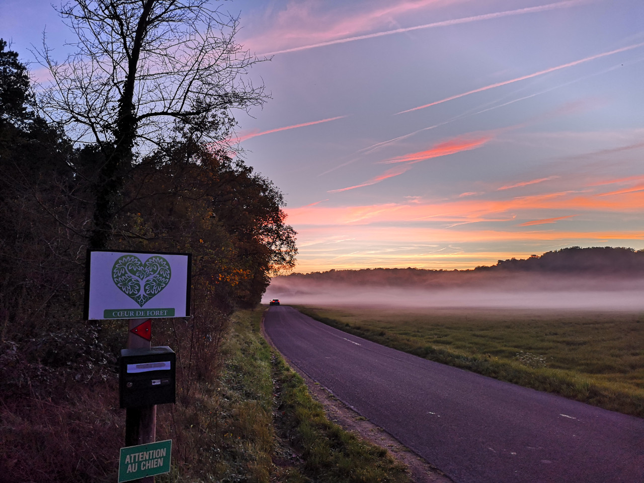 GreenGo Coeur de Forêt