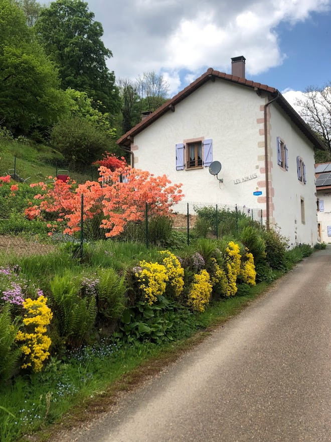 GreenGo location vacances écoresponsables