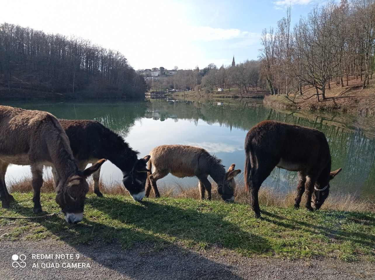 Tarn-et-Garonne À la campagne
