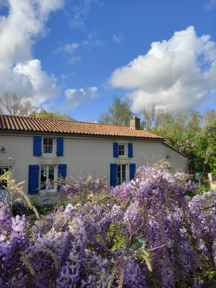 GreenGo location vacances écoresponsables