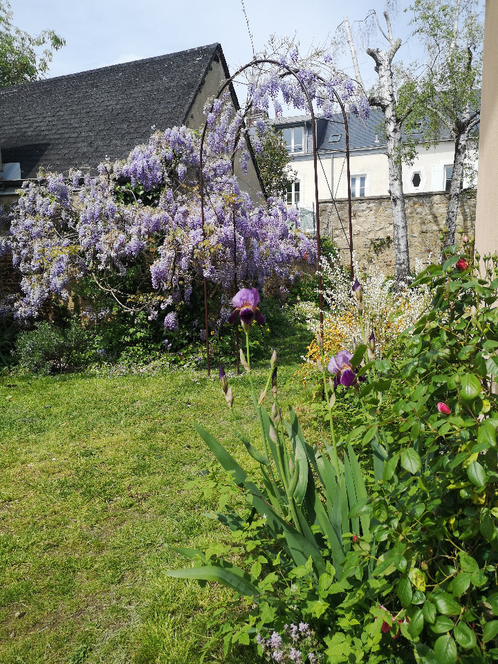 Sarthe Sportif