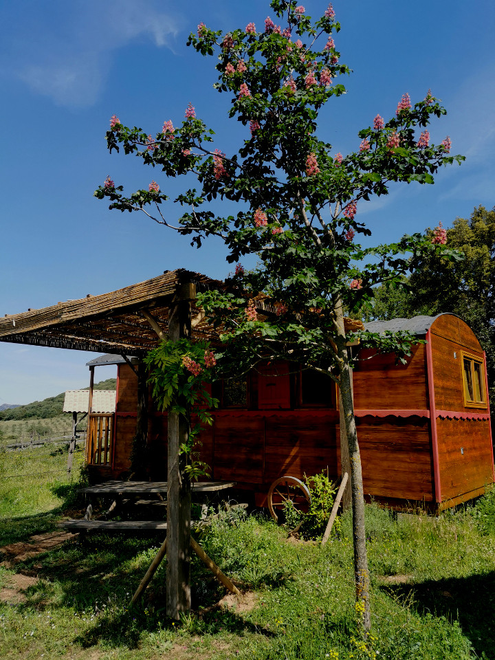 GreenGo Logement insolite Corse À la campagne