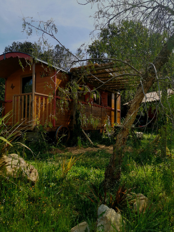 Hôte GreenGo: Roulotte au cœur d'un ranch