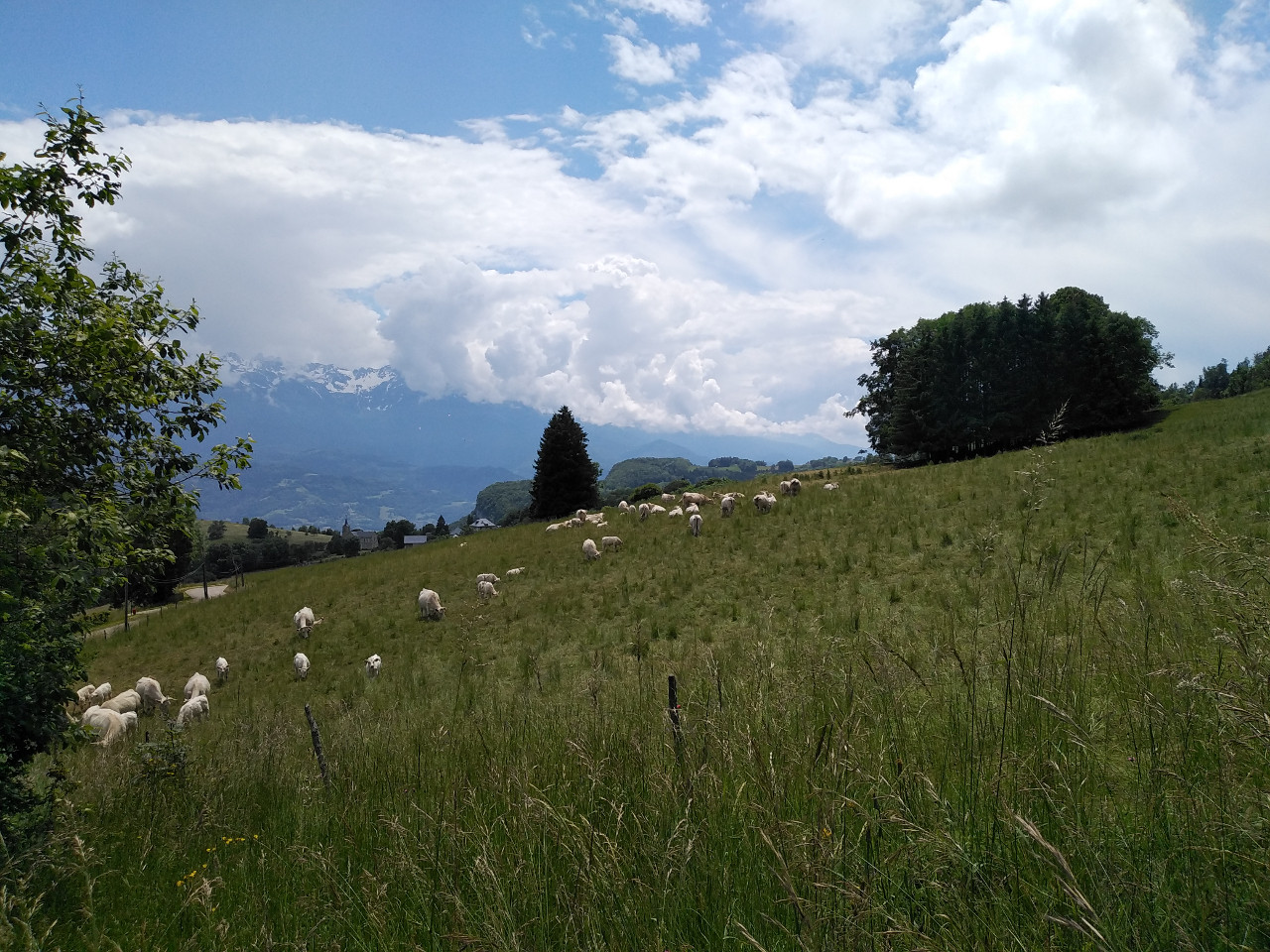  Isère À la campagne
