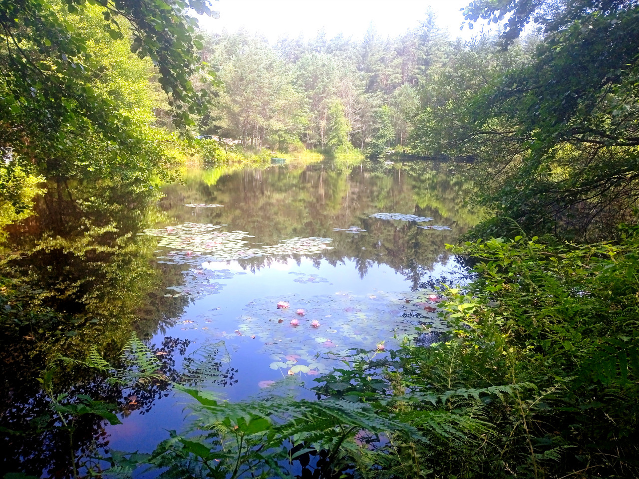 GreenGo Le bois des Nenuphars-gite insolite